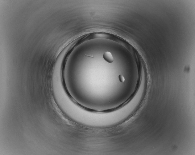 X0000112880993200908211447