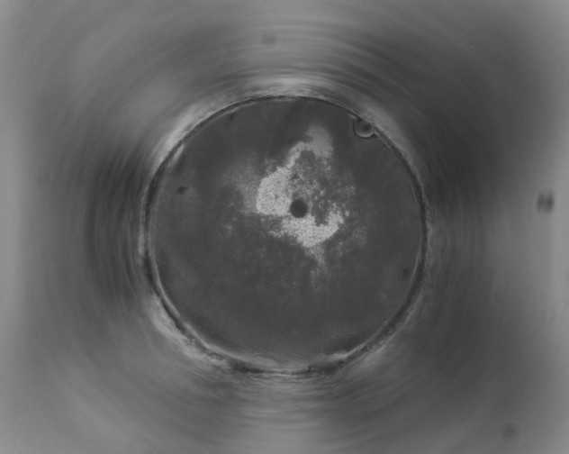 X0000112880994200908211447