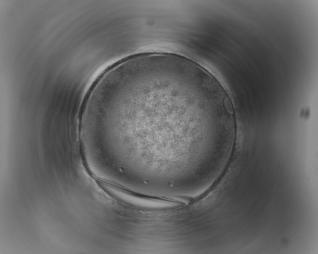 X0000112880996200908211447