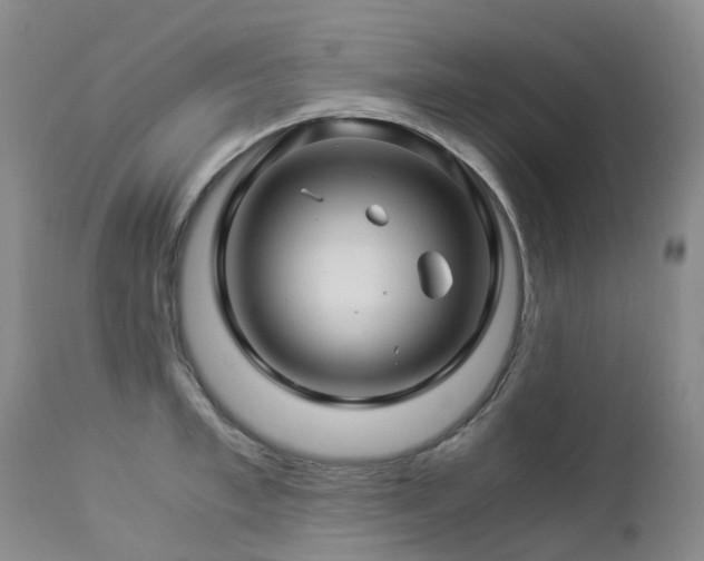 X0000112880997200908211447