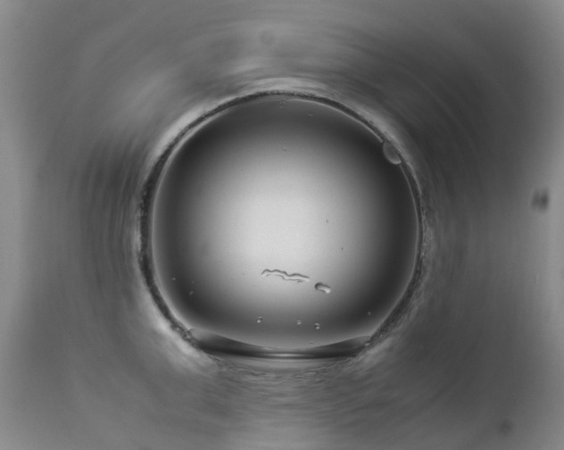 X0000112880999200908211447