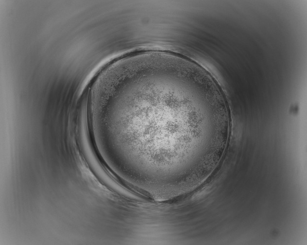 X0000112881000200908211447