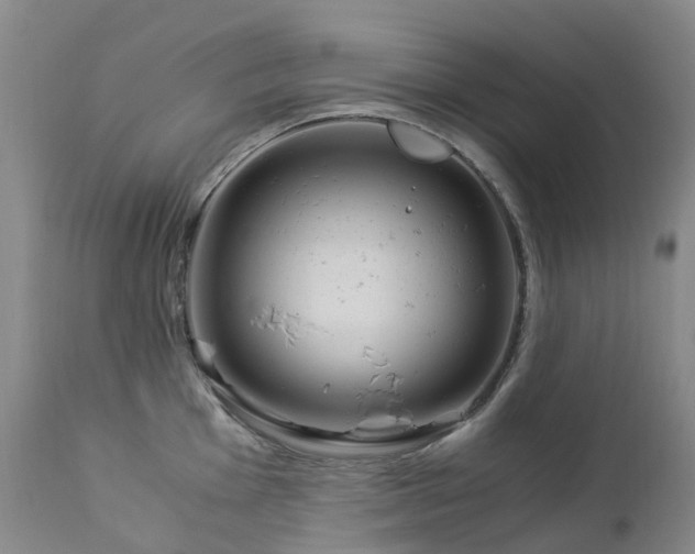 X0000112881001200908211447