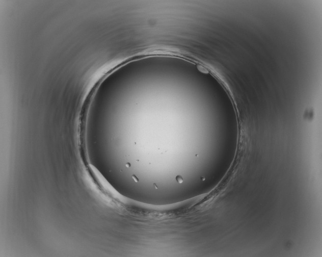 X0000112881003200908211446