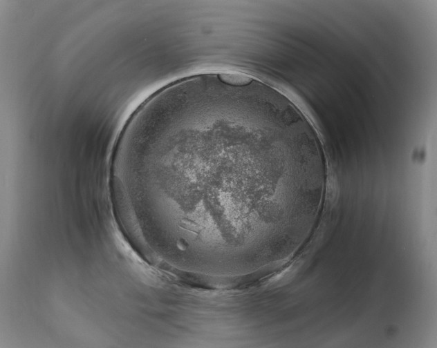 X0000112881004200908211446