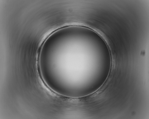 X0000112881006200908211446