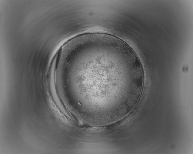 X0000112881008200908211446