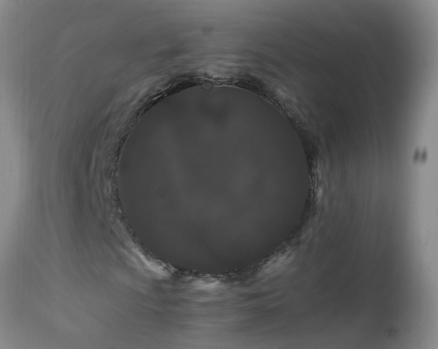 X0000112881009200908211445