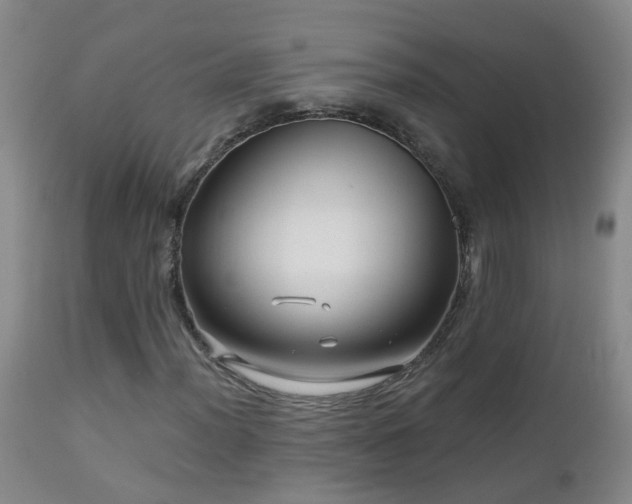 X0000112881012200908211445