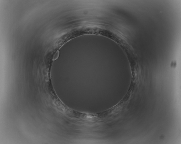 X0000112881013200908211446