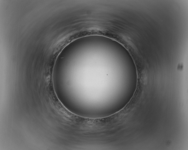 X0000112881015200908211446