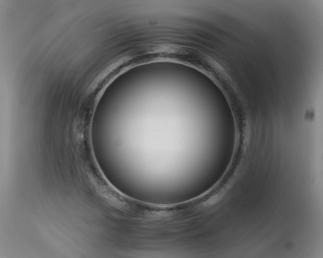 X0000112881017200908211446