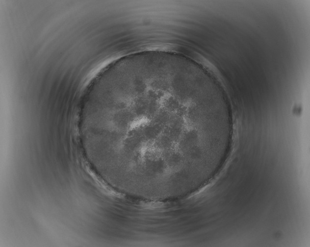 X0000112881019200908211446