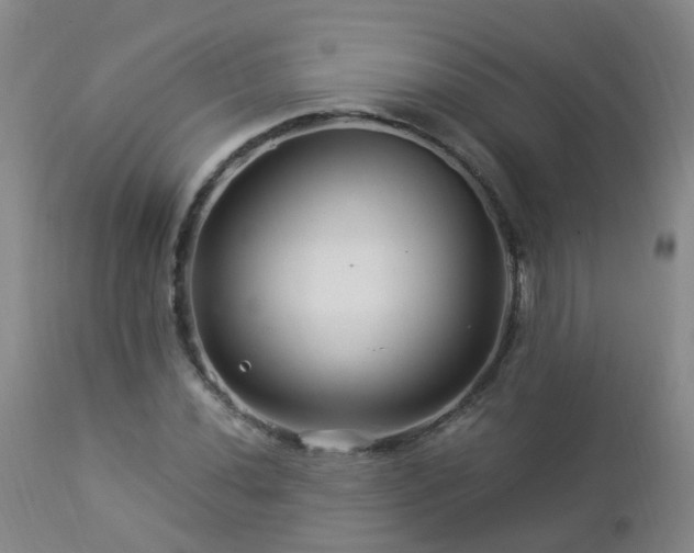 X0000112881020200908211446