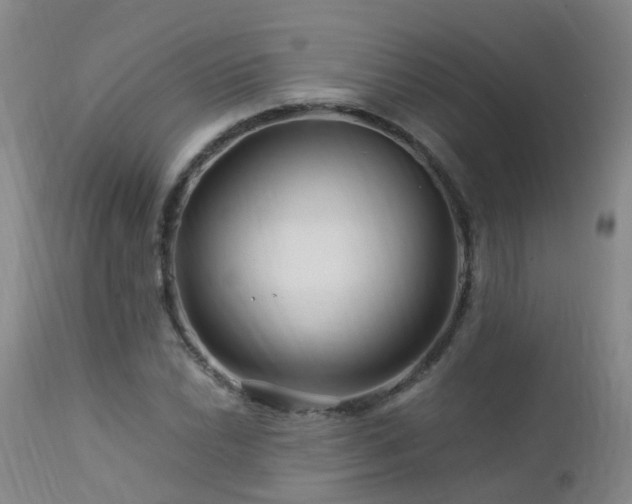 X0000112881022200908211446