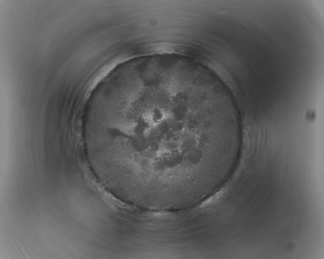 X0000112881023200908211446