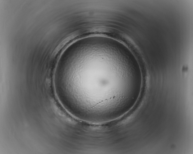 X0000112881025200908211446