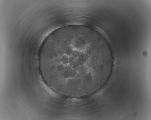 X0000112881027200908211446