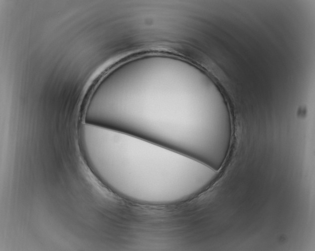 X0000112881028200908211446