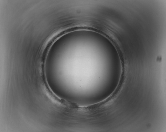 X0000112881029200908211446