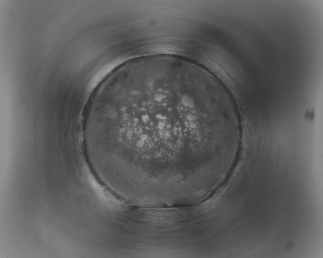 X0000112881031200908211446