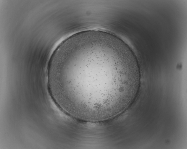 X0000112881032200908211446