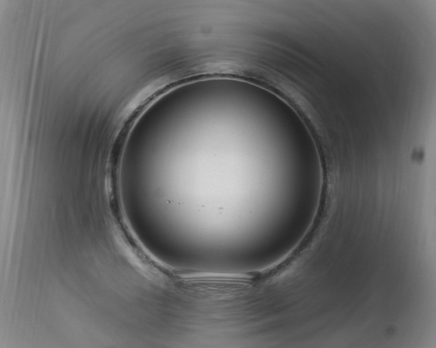 X0000112881034200908211446