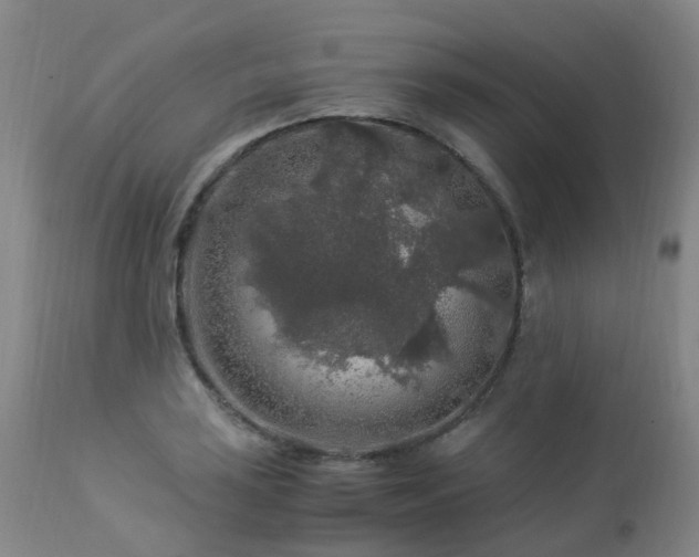 X0000112881035200908211446