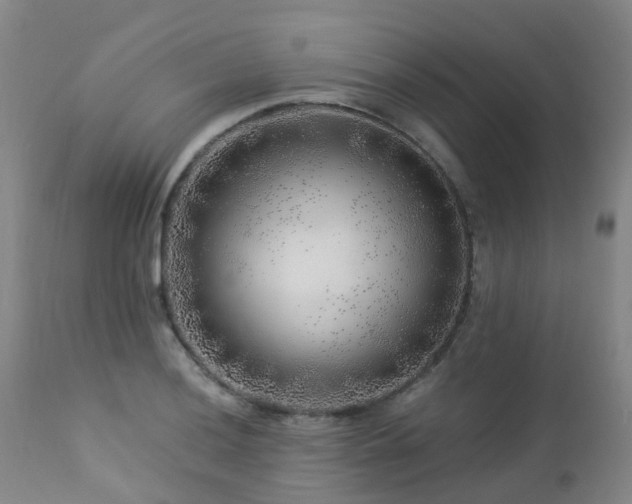 X0000112881036200908211446