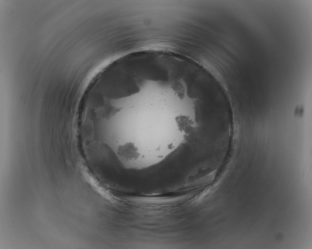 X0000112881037200908211446