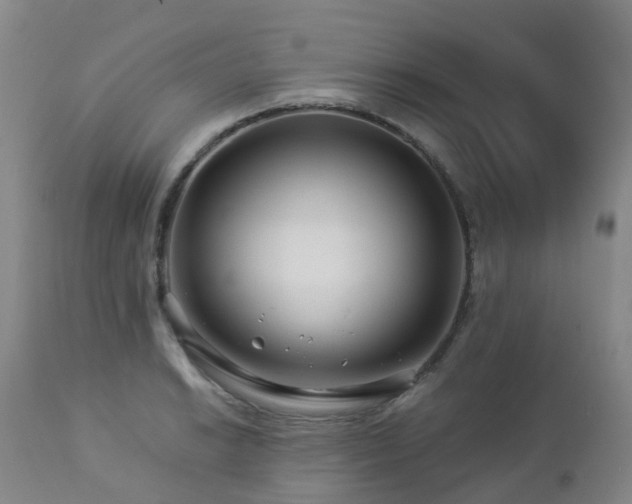 X0000112881038200908211446