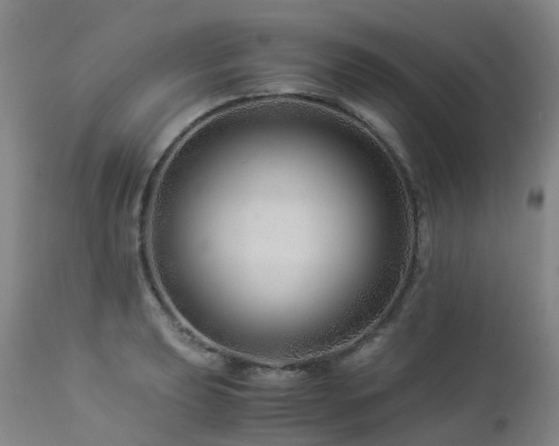 X0000112881039200908211446