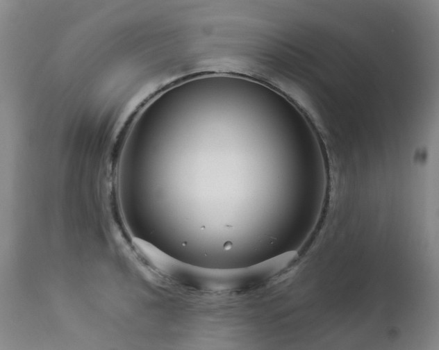 X0000112881040200908211446