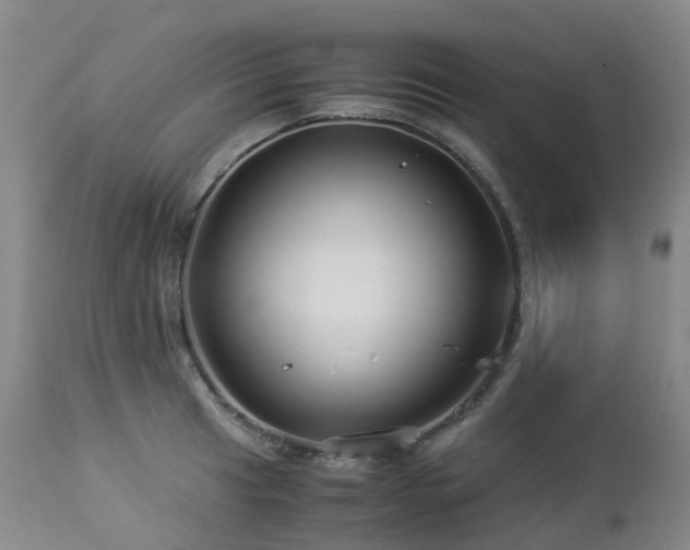 X0000112881041200908211446