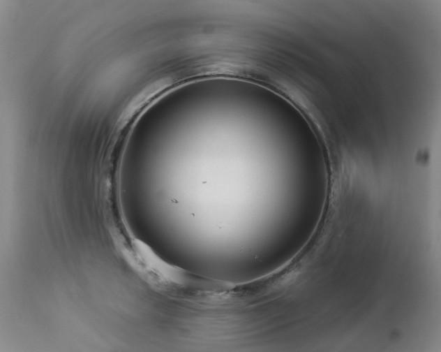 X0000112881042200908211446