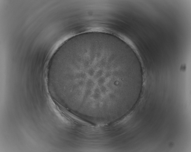 X0000112881043200908211446