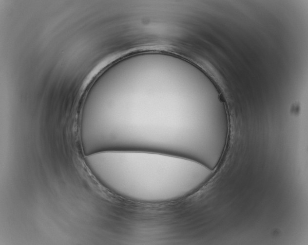 X0000112881044200908211446