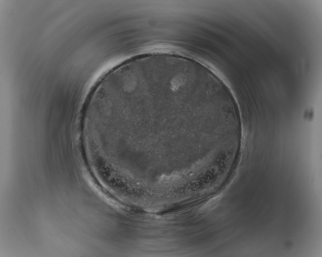 X0000112881045200908211446