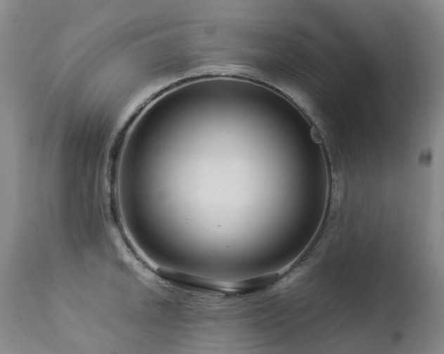 X0000112881046200908211446