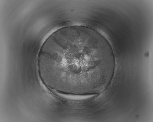 X0000112881047200908211446