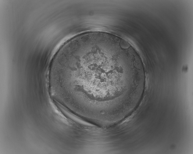 X0000112881048200908211446