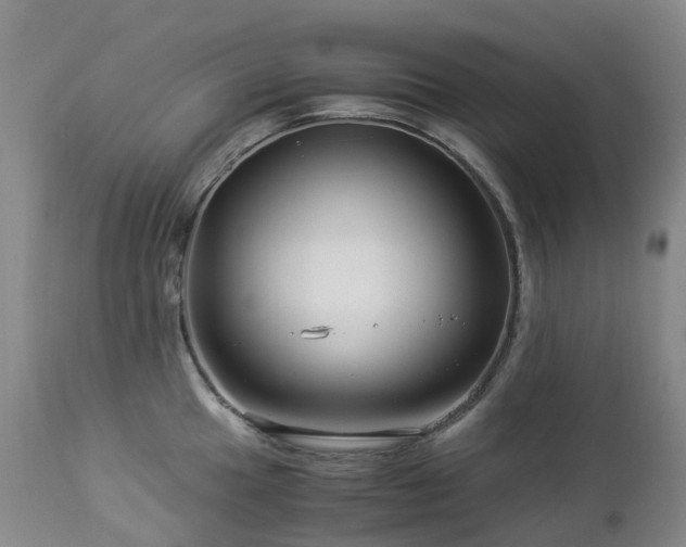 X0000112881049200908211446