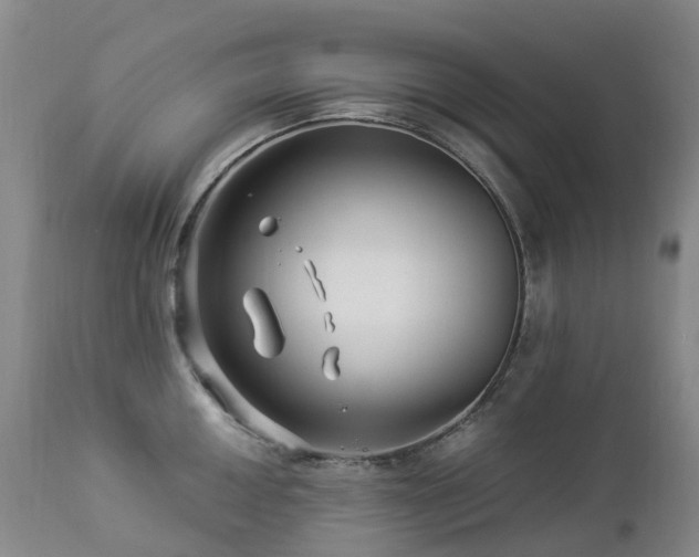 X0000112881050200908211446