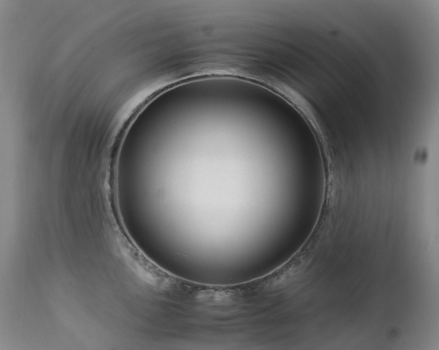 X0000112881051200908211446