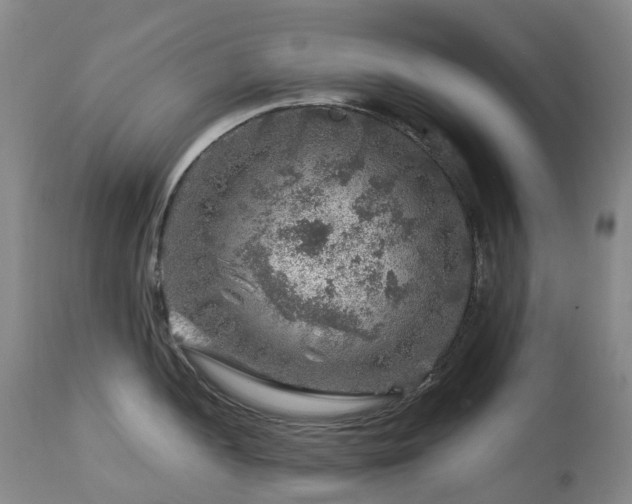 X0000112881052200908211446