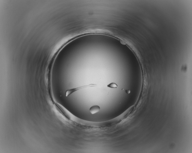 X0000112881054200908211446