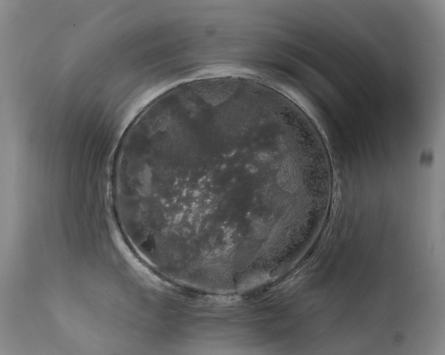 X0000112881055200908211446