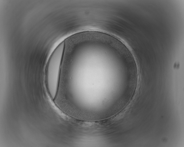 X0000112881056200908211446