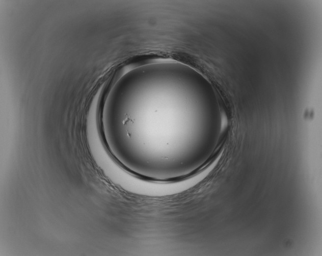 X0000112881057200908211445