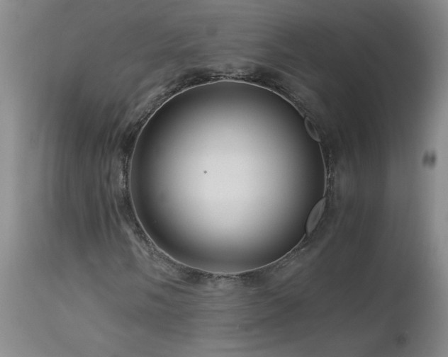 X0000112881058200908211445